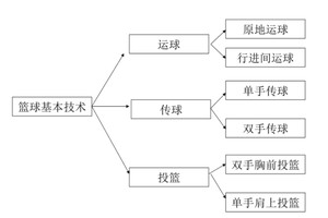 如何利用数据驱动的训练方法提升篮球前景:全面指南与策略分析